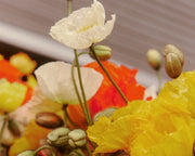 Meet Cherrie Miriklis-Pavlou – Vasette Founder