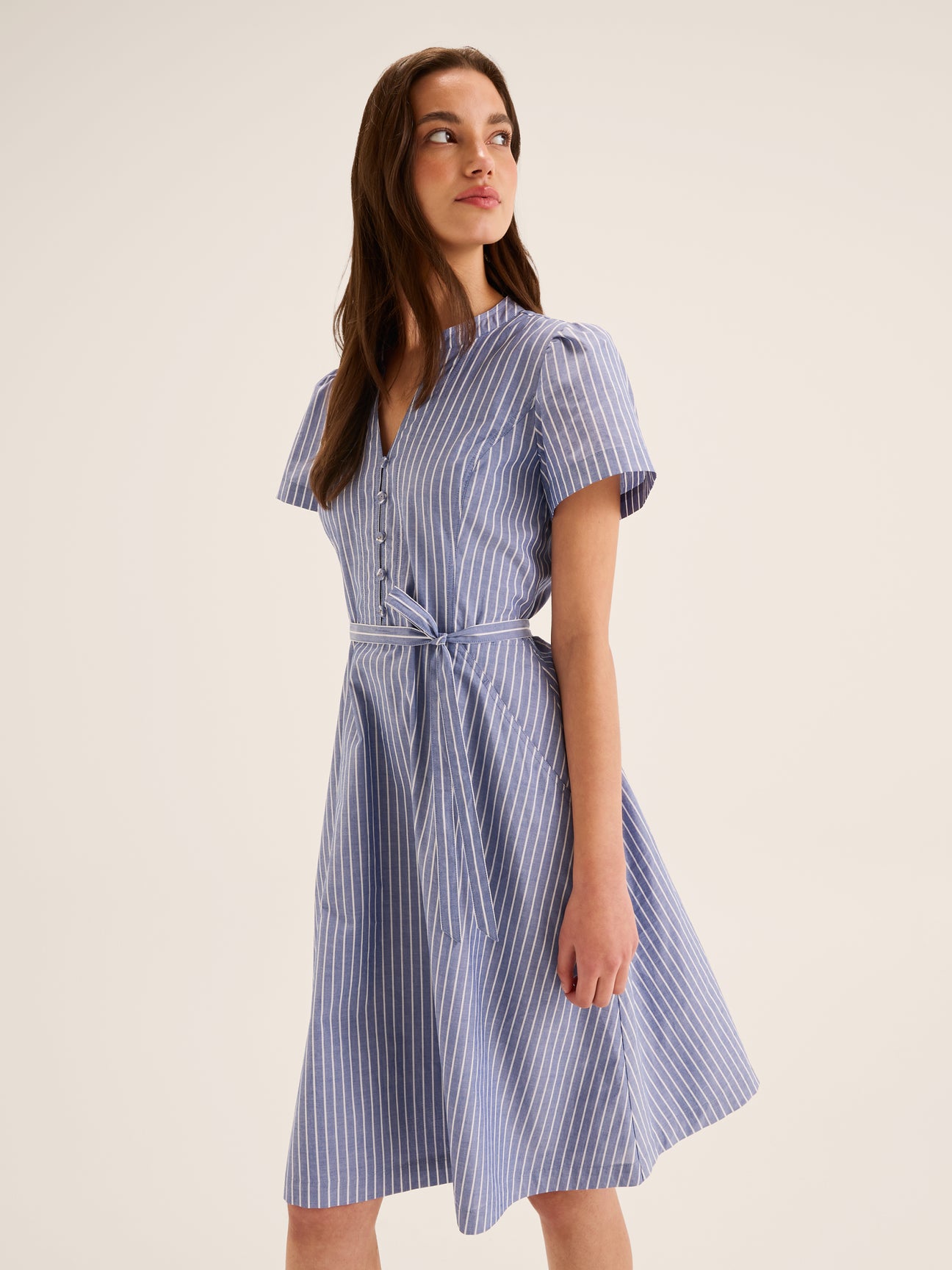 Anya Stripe Dress